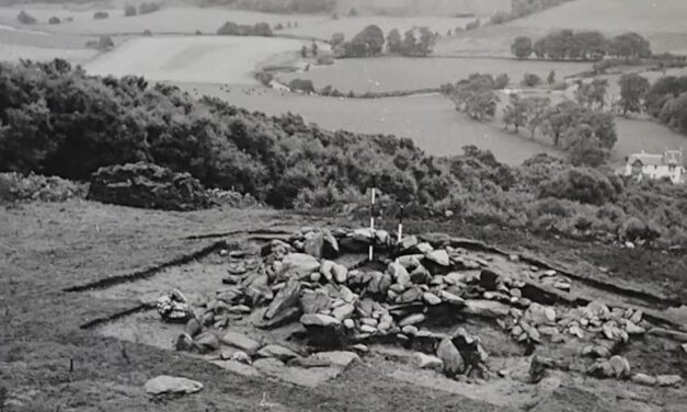 Digitising archaeology in the forest